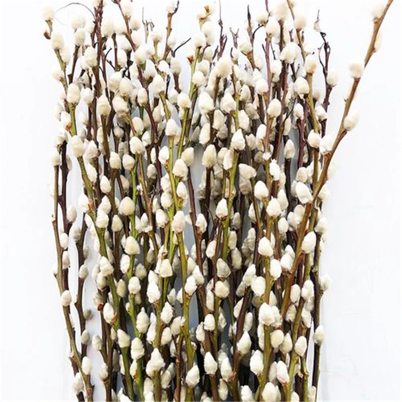 Sumodeliuoti Gėlių Sidabro gluosnio vaisius medžio, Dirbtiniai Augalai Bonsai Baltos spalvos audiniu kultūros Namuose Šalis, Vestuvių Dekoravimas Nuotrauka 5